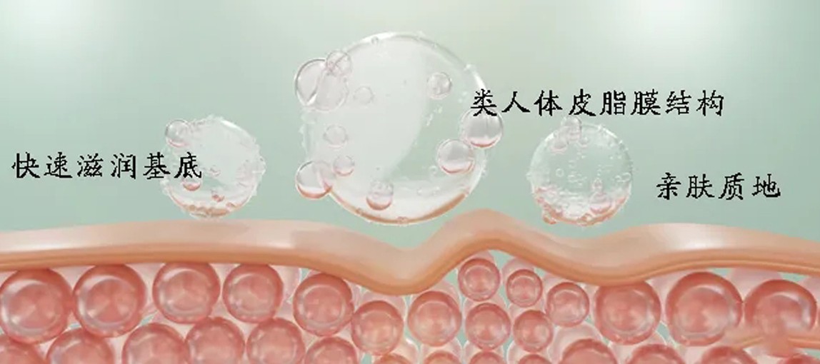 揭秘尖端生物科技：植物仿生皮脂，模擬細(xì)胞間脂質(zhì)功效，修護(hù)皮膚屏障，強(qiáng)韌肌膚！