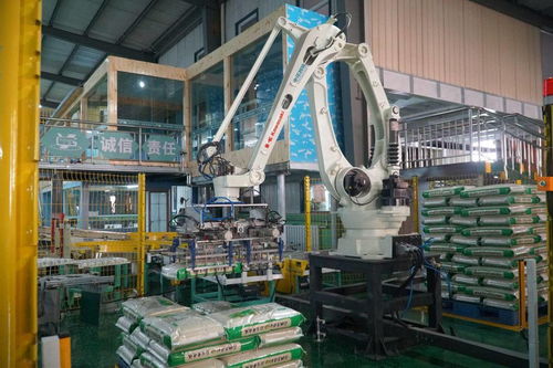 軟件技術(shù)開(kāi)發(fā)賦能寧夏綠色食品產(chǎn)業(yè)，激發(fā)農(nóng)業(yè)新活力